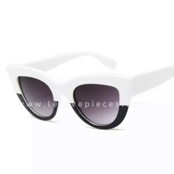 White And Black Big Kitty