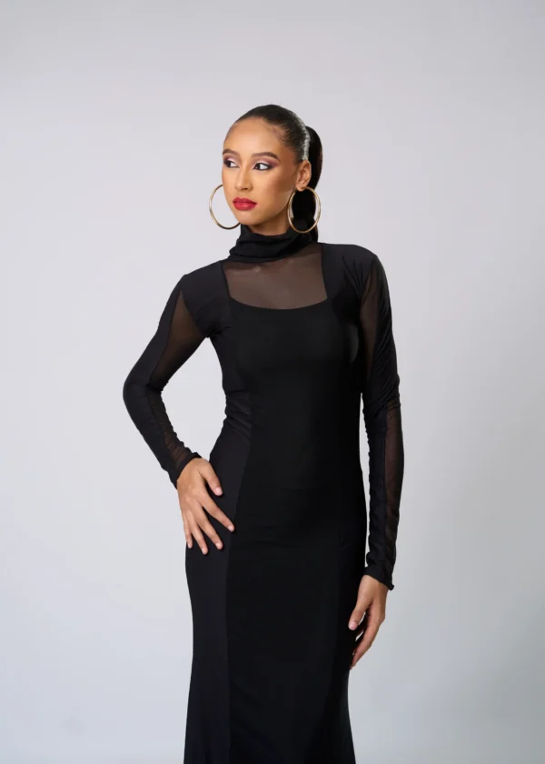 Sheer Boarder Long Sleeve Long Dress High Neck Body Dress - Le Reve Pieces