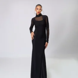 Sheer Boarder Long Sleeve Long Dress High Neck Body Dress