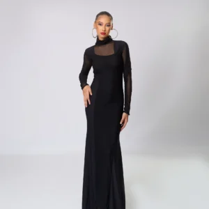 Sheer Boarder Long Sleeve Long Dress High Neck Body Dress