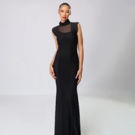 Sheer Boarder Sleeveless Long Dress High Neck Body Dress