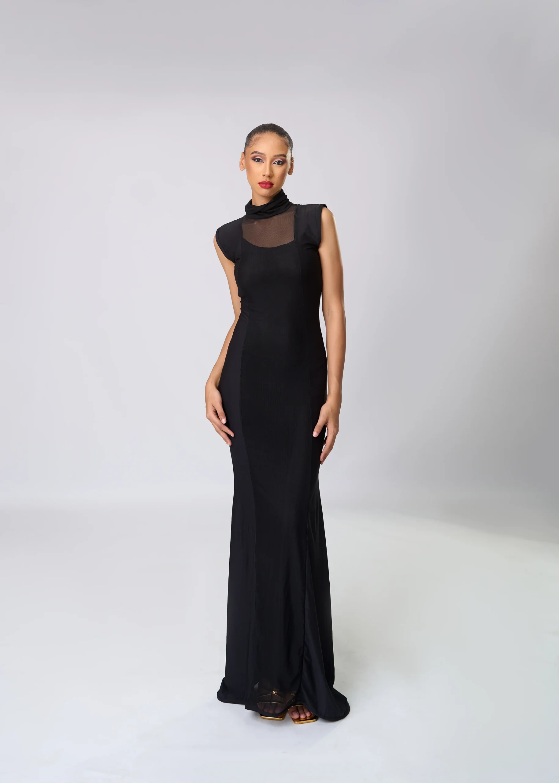 Sheer Boarder Sleeveless Long Dress High Neck Body Dress