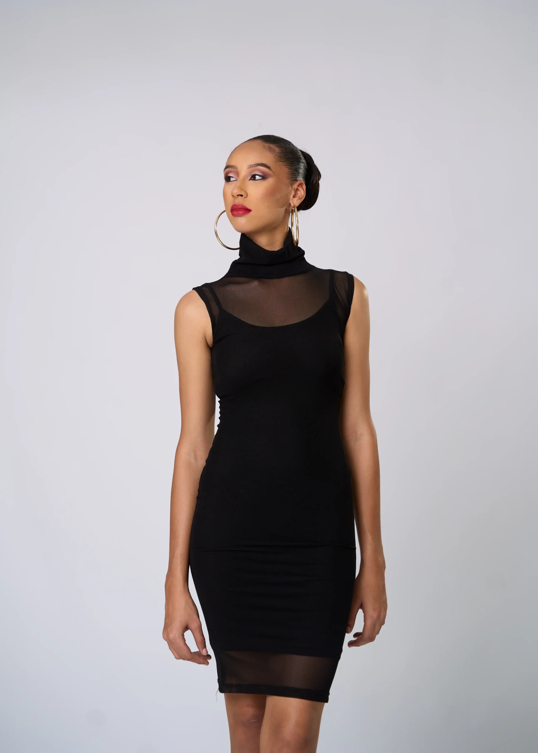 Sheer Boarder Sleeveless Short Dress High Neck Body Dress
