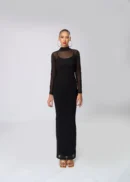Sheer High Neck Long Sleeve Long Dress