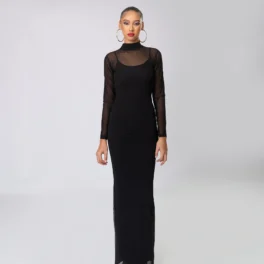 Sheer High Neck Long Sleeve Long Dress