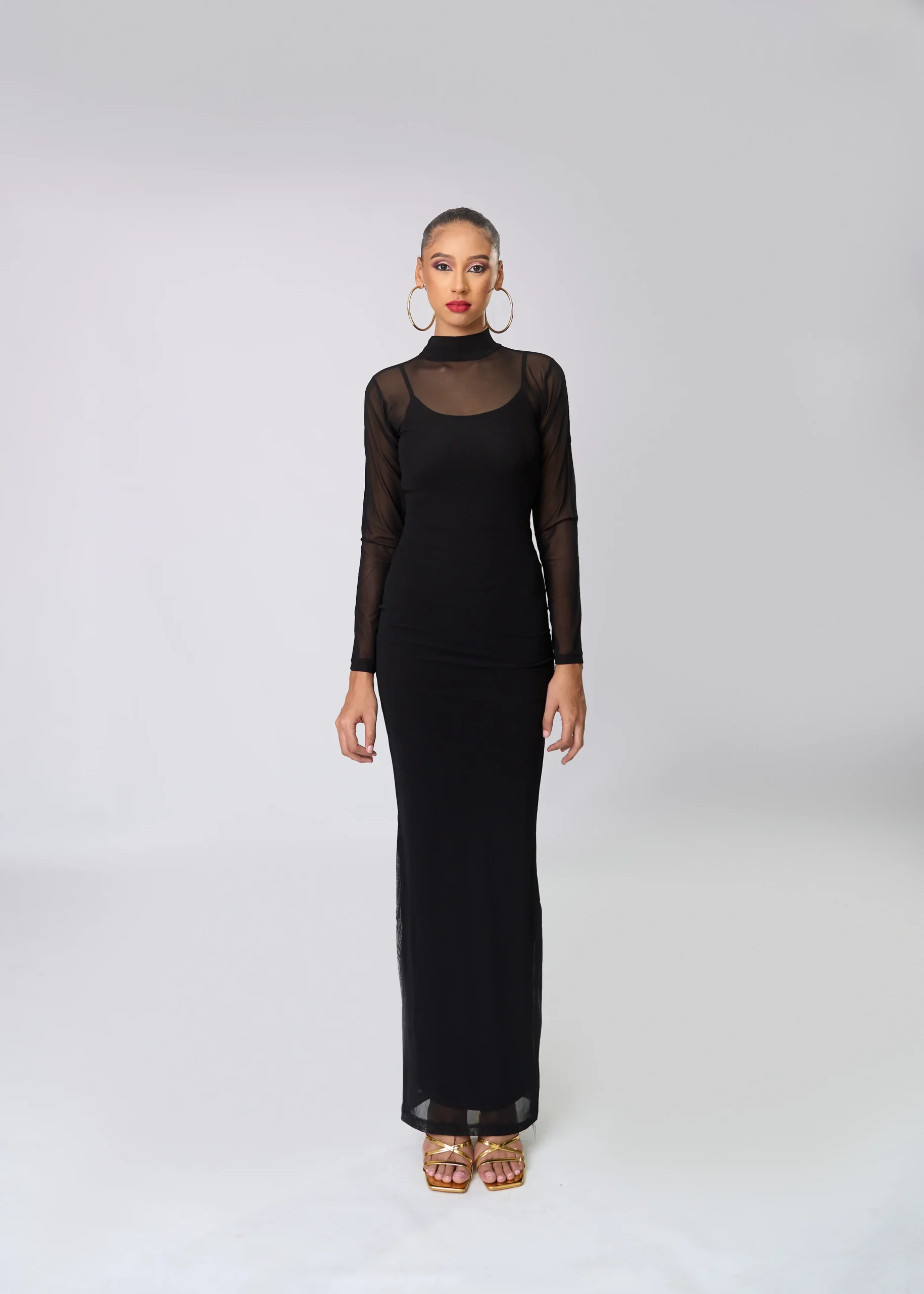 Sheer High Neck Long Sleeve Long Dress