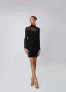 Sheer High Neck Long Sleeve Short Dress
