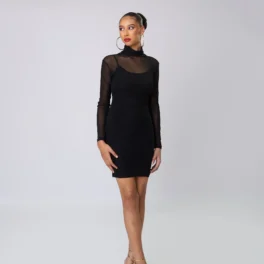 Sheer High Neck Long Sleeve Short Dress