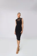 Sheer High Neck Long Sleeve Midi Dress