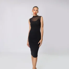 Sheer High Neck Long Sleeve Midi Dress